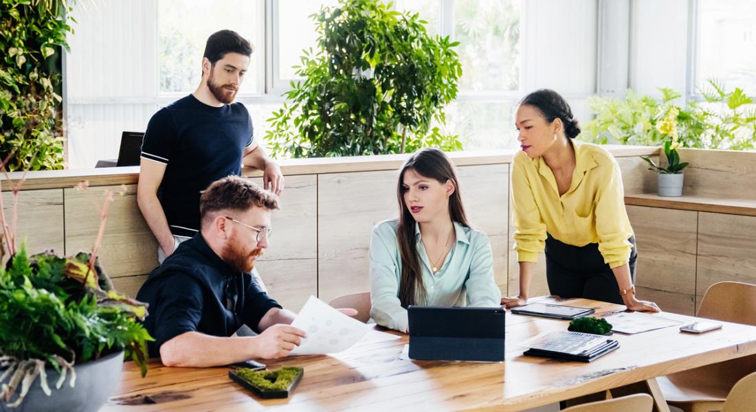 Vier Menschen in einem Meeting, Raum begrünt